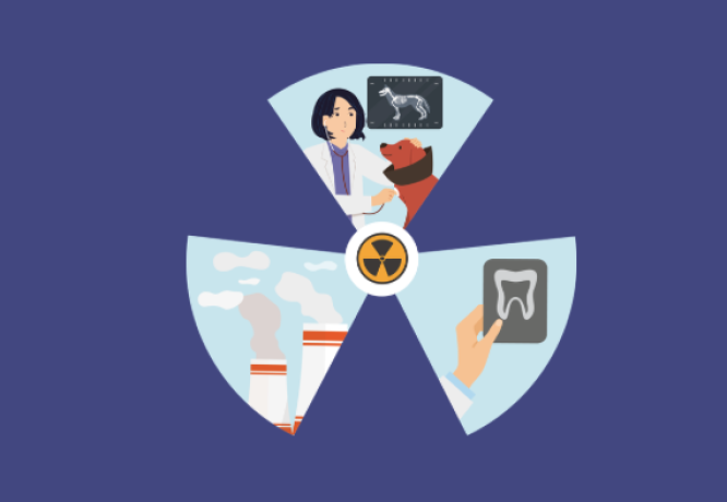 Nouvelles modalités de suivi pour les travailleurs exposés aux rayonnements ionisants et classés - MIST