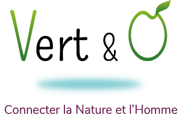Logo Vert et O - CMAIC en Normandie