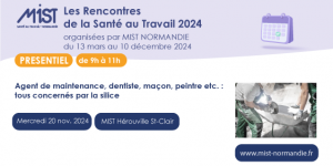 RST 2024 : Silice (présentiel) - 20/11/2024 - de 09h00 à 11h00 - MIST Hérouville Saint-Clair - Évènements de MIST Normandie